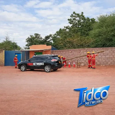 Installation team carrying a pole